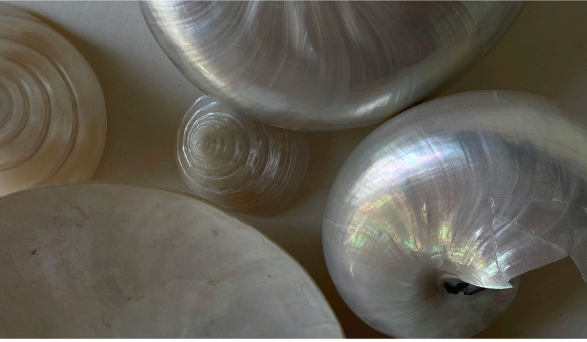 Lorem ipsum dolor sit amet, consetetur sadipscing